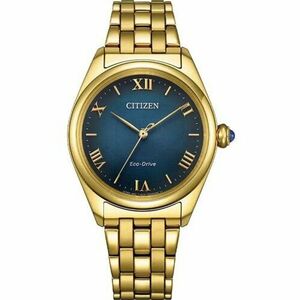 Ceas Citizen Citizen Eco-Drive EM1142-84L imagine