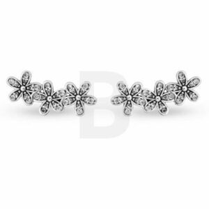 PANDORA Pandora Moments 290744CZ imagine
