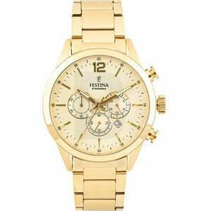 Ceas Festina Festina Timeless Chronograph 20633/4 imagine