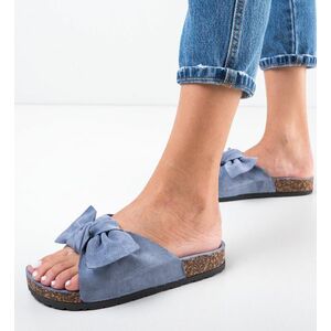 Papuci Bregu Albastri imagine