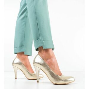 Pantofi Hugh Aurii imagine