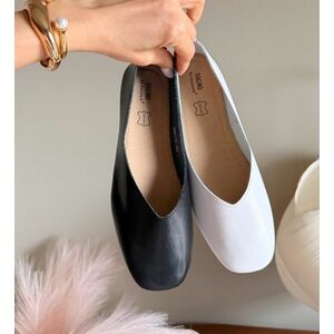 Balerini dama Sadde Negri imagine