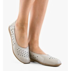 Balerini dama Vanga Gri imagine