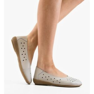 Balerini dama Fros Gri imagine