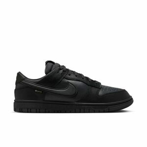 Pantofi sport Nike DUNK LOW GTX imagine