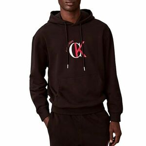 Hanorac Calvin Klein LS EU 350TERRY GRAPHIC HOODIE imagine