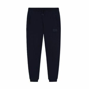 Pantaloni EA7 TRAIN LUX M PANTS CH CO PL imagine