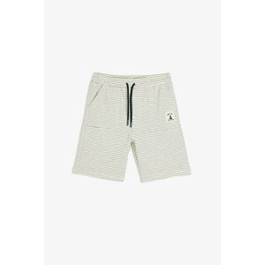 Pantaloni scurti cu model in dungi si snur de ajustare - Gri pal/Alb murdar imagine