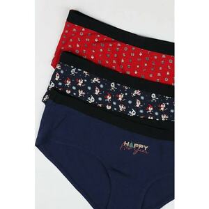 Lenjerie Intima De Dama Multicolor Modern Fit Cl1066171 - Multicolor imagine