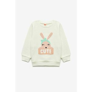 Bluza striata cu detaliu brodat - Verde pal/Maro deschis imagine