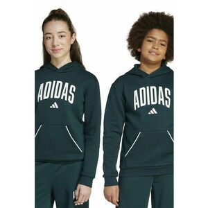 Hanorac din amestec de bumbac cu imprimeu logo - Alb/Verde inchis imagine