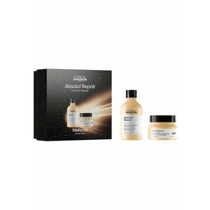 Set rutina profesionala L’Oreal Professionnel Serie Expert Sampon - 300ml + Masca - 250ml - Uscat/Degradat imagine