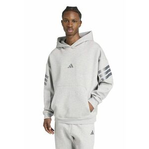 Hanorac regular fit cu logo - Gri deschis/Argintiu imagine