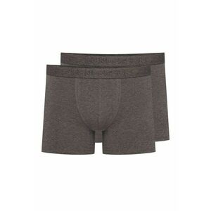 Boxeri (crac mai lung) Move set de 2 perechi Gri - Gri imagine