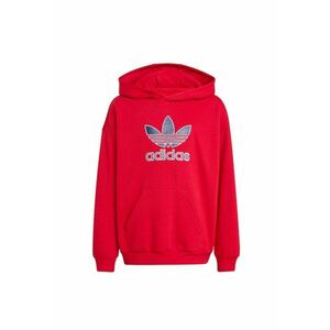 Hanorac cu buzunar kangaroo cu logo regular fit imagine