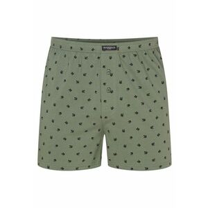 Boxeri barbati - Verde - Verde imagine