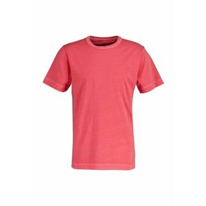 Tricou din bumbac cu decolteu la baza gatului si broderie logo discreta - Rosu imagine