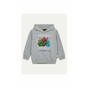 Bluza baieti - 304705861 - Bumbac organic - Gri - Gri imagine