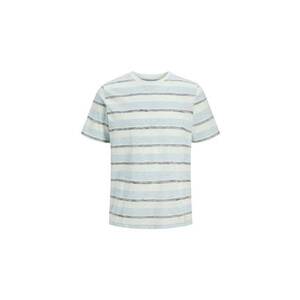 Tricou pentru barbati Birk Striped - Albastru imagine