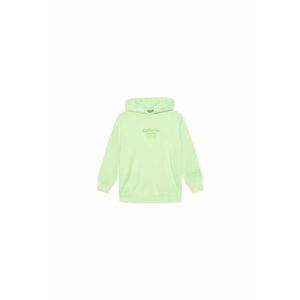 Bluza baieti 3WITC204G - Bumbac - Verde - Verde imagine
