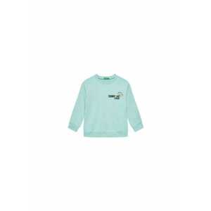 Bluza baieti 3UNIC10O3 - Bumbac - Albastru - Albastru imagine