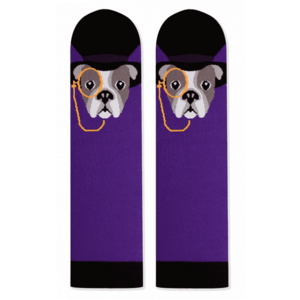 Sosete bumbac Fancy Dog imagine