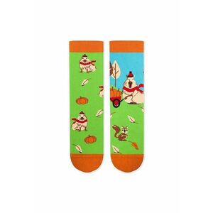 Sosete bumbac Arty Socks Capybara Verde imagine