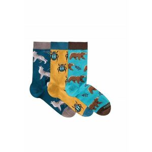 Sosete bumbac Forest Animals Cool Box - 3 buc imagine