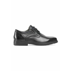 Pantofi barbati 206985088 - Piele naturala - Negru - Negru imagine
