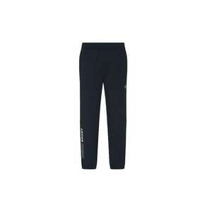 Pantaloni ARMANI BLUE SPORT M PANTS CH PZ-7M000600-AF16426-UB102 imagine