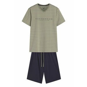 Pijama barbati Deli verde pal - gri imagine