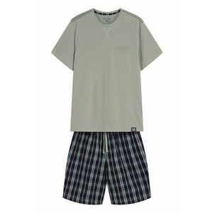 Pijama barbati Dexter verde pal - gri imagine