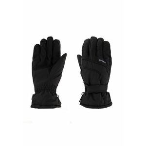 Manusi Ski si Snowboard Mesa Glove imagine