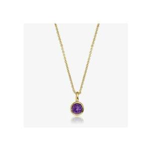 Colier din argint Birthstone Golden February - Ametist imagine