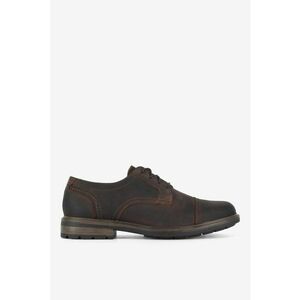 Pantofi barbati 5905588768999 - Piele naturala - Maro - Maro imagine