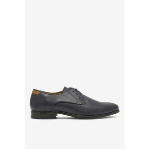 Pantofi barbati 5905588300199 - Piele naturala - 41 EU - Albastru imagine