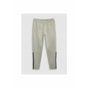 Pantaloni de Antrenament Barbati Olive Moss Yellow - Sezon SS25 - Uscare Rapida - Poliester - Croiala Regulara - Multi Active - S- imagine