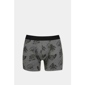 Lenjerie Intima De Barbati Gri Modern Fit - imagine