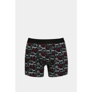 Lenjerie Intima De Barbati Multicolor Modern Fit Cl1075779 8684112901909 imagine