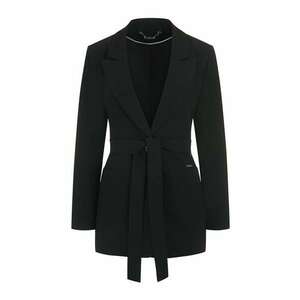 Blazer lejer imagine