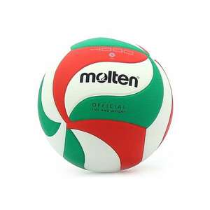 Minge volei V5M4000 - aprobata DVV imagine