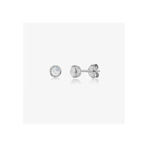 Cercei din argint Birthstone June - Piatra Lunii imagine