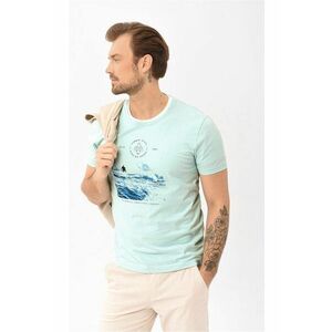 Tricou T-Board pentru barbati menta - surfing imagine