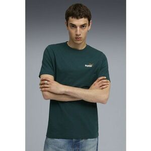 Tricou de bumbac cu decolteu la baza gatului ESS Boxy Tee - Verde englez imagine