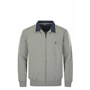 Bluza de trening cu fermoar Klima-Komfort 12115 - Gri imagine