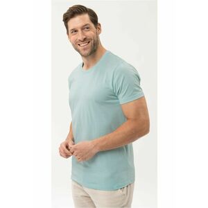 Tricou T-Basic pentru barbati - bej - menta imagine