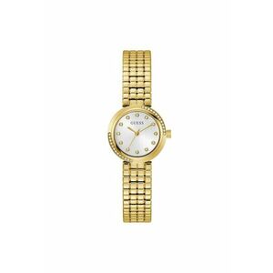 Ceas de dama carcasa 28 mm 3 ATM - GW0930L2 imagine