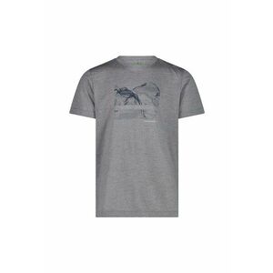 Tricou barbati 32T7177 - Gri imagine