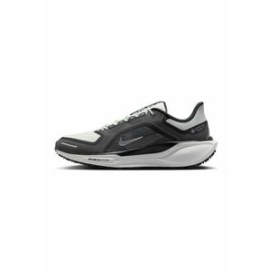 Pantofi impermeabili pentru alergare Road Pegasus 41 GTX - Alb murdar/Gri antracit imagine