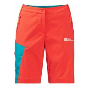 Pantaloni scurti barbati - Poliamida - Multicolor - M/L imagine